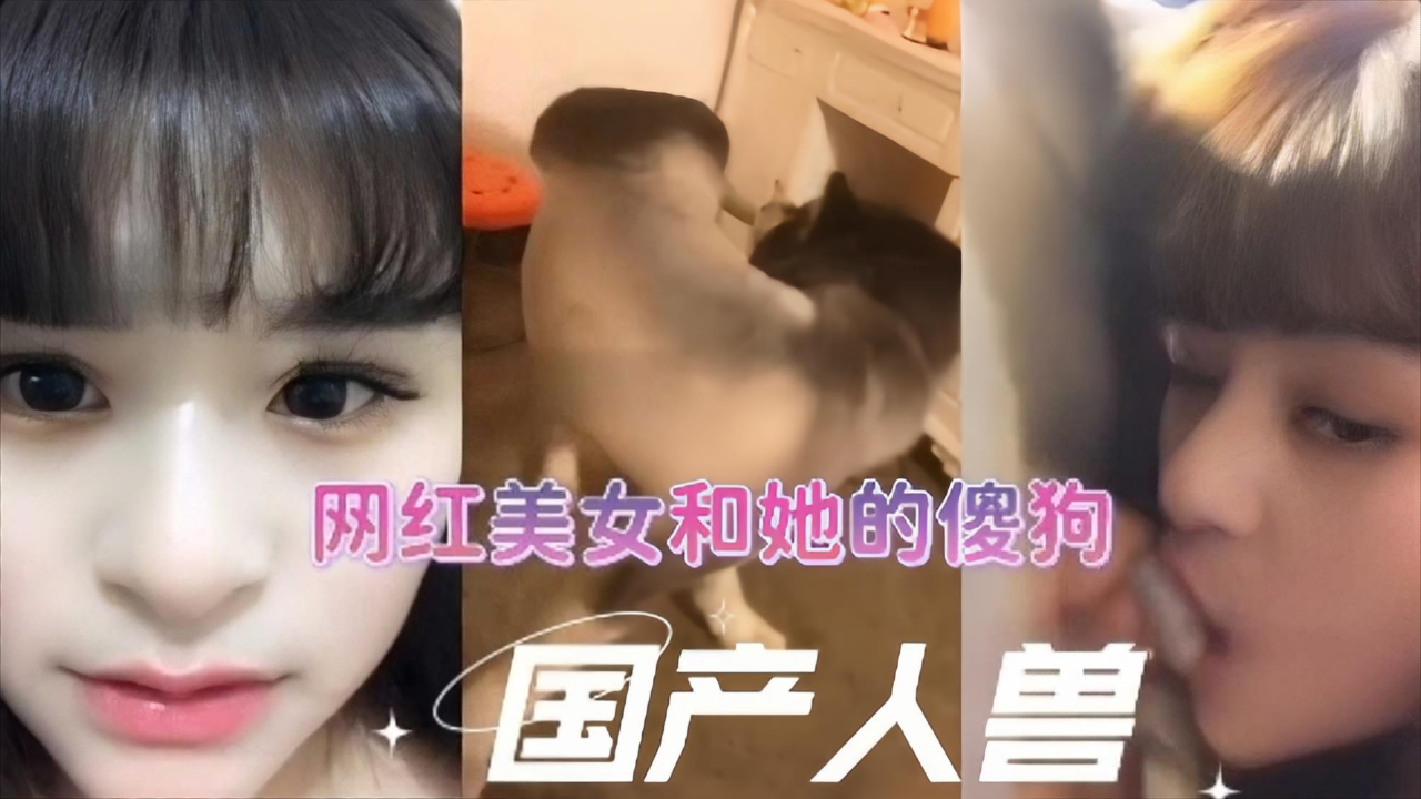 极品美乳女网红现场直播