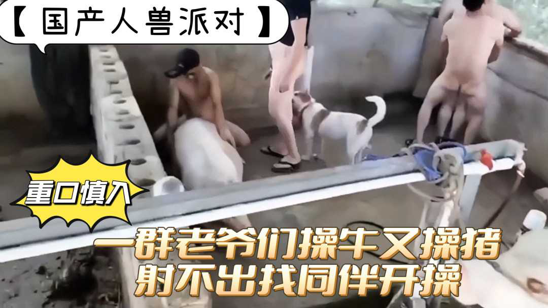 一群老爷们操牛又操猪
